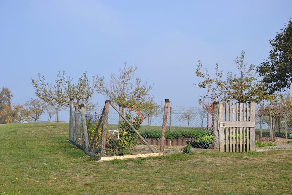Eingezäuntes Rasenstück in einem Obstgarten, ländlich. Foto: Christiane Wachsmann