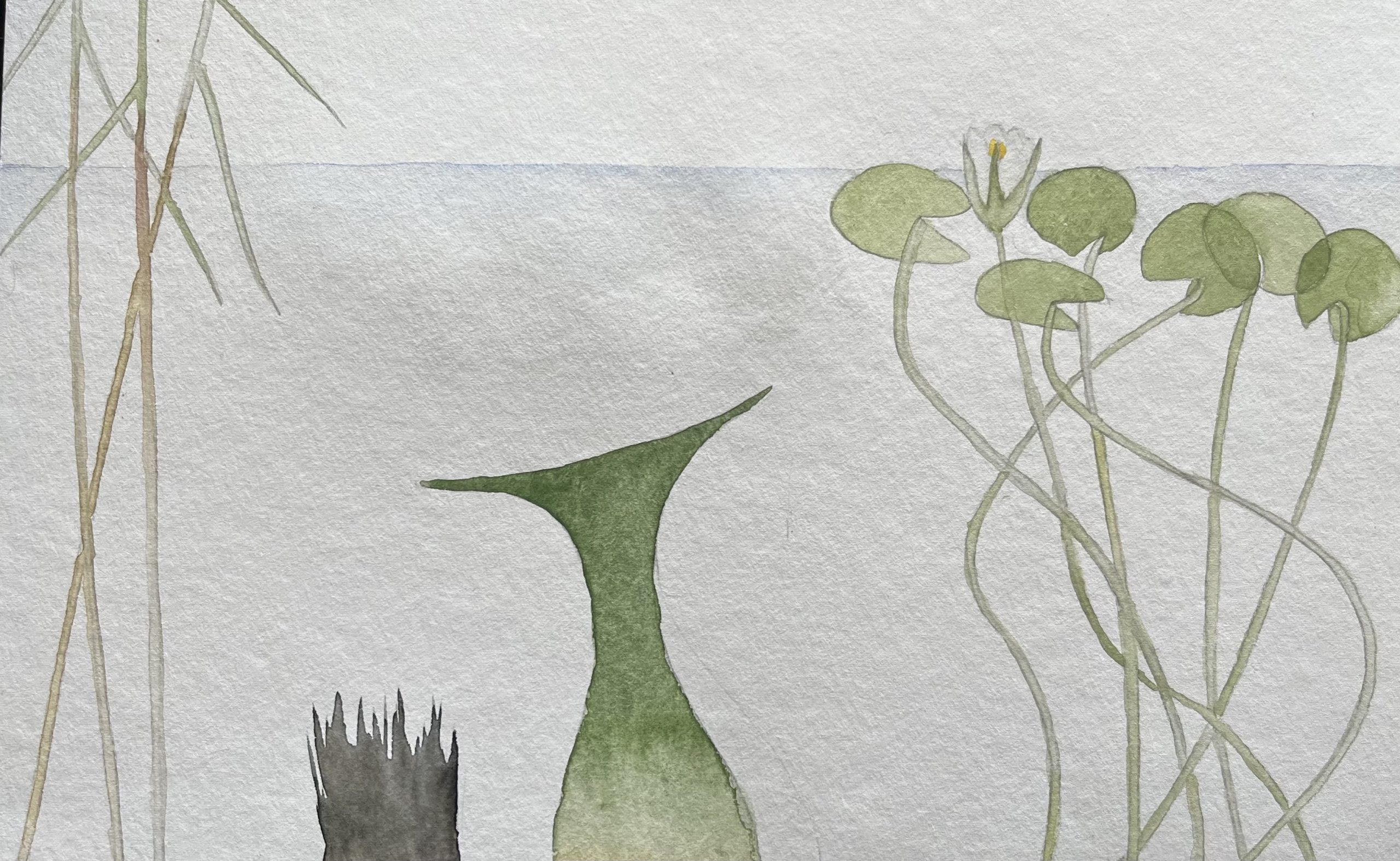 Aquarellierte Zeichnung einer Nixe, die zwischen Schilfrohr und Seerosen abtaucht. Zeichnung © Christiane Wachsmann