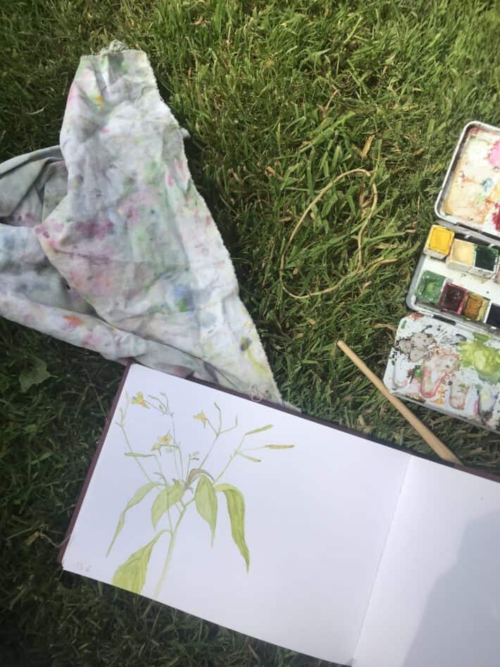 Skizzenbuch mit einem Rühr-mich-nicht-an (aquarellierte Zeichung, dazu Aquarellkasten, Pinsel und Tuch im Gras. Zeichnung und Foto: Christiane Wachsmann