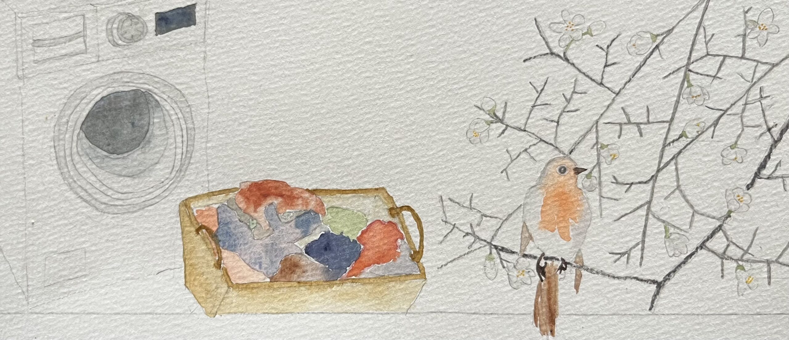 Aquarellierte Zeichnung einer Waschmaschine und eines Rotkehlchens. Zeichnung: Christiane Wachsmann