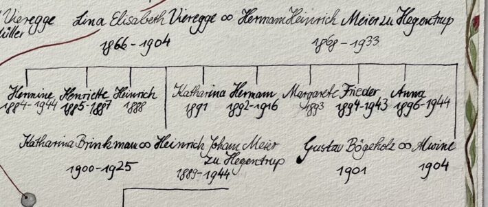 Ausschnitt aus dem Stammbaum der Familien Müller und Meier zu Hegentrup, die Familie Meier betreffend. Kalligrafie und Zeichnung: Christiane Wachsmann