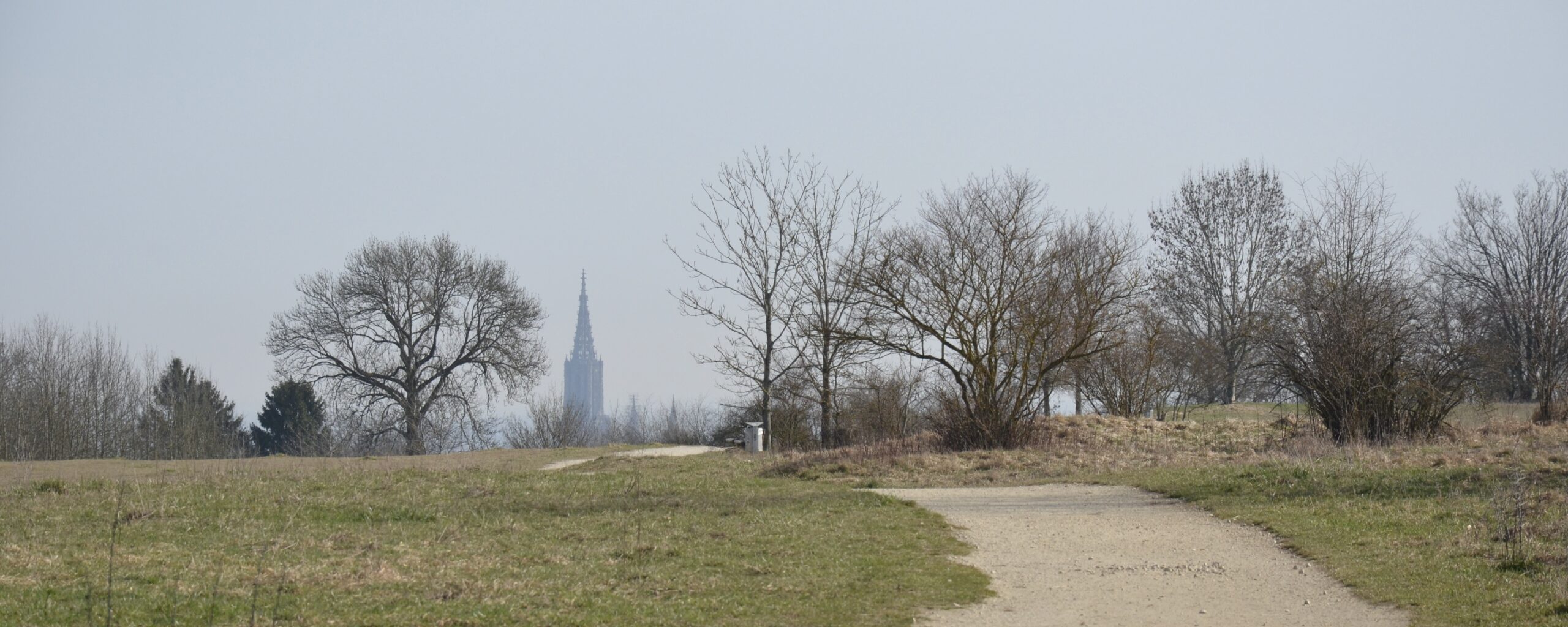 Die Fotografie zeigt den Blick vom Hochsträss, einen Ausläufer der Schwäbischen Alb, auf die Türme des Ulmer Münsters. Foto: Christiane Wachsmann