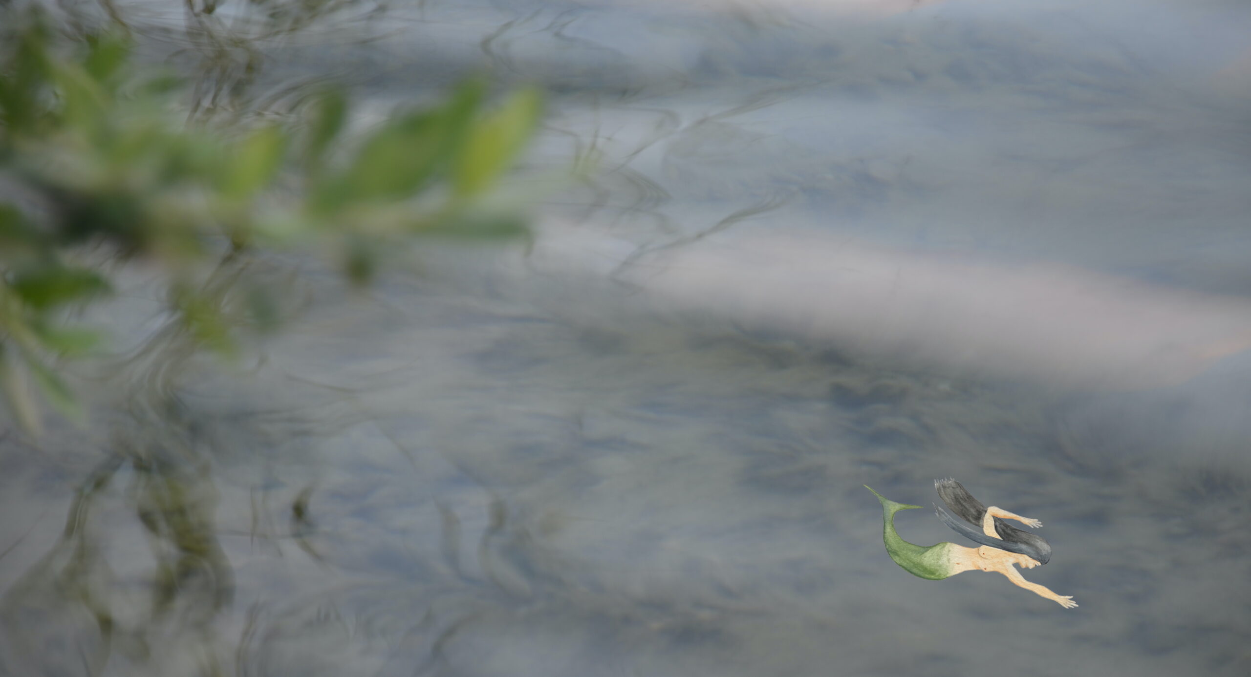 Foto einer Wasserfläche mit unscharf gestellten Weidenästen im Vordergrund, darin klein die Zeichnung einer Nixe.